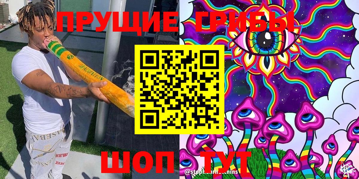 Галлюциногенные грибы Psilocybe Калининград