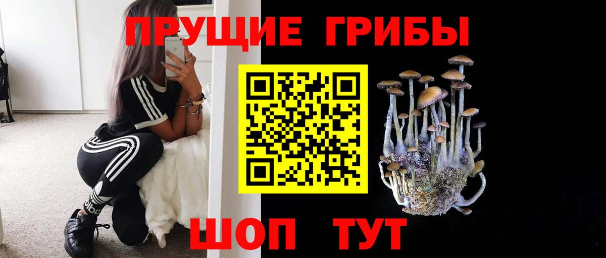 Калининград  Псилоцибиновые грибы прущие грибы  Псилоцибиновые грибы мухоморы  Вход с VPN 
